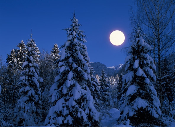 december-full-moon-photo.jpg